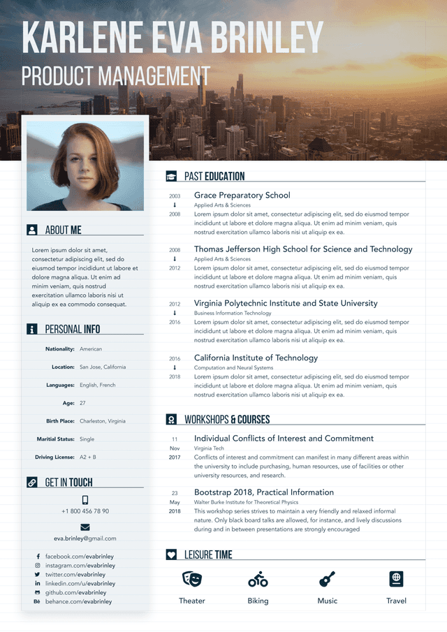 Resume Theme 4